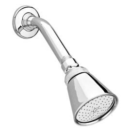 Regadera de chorro fijo